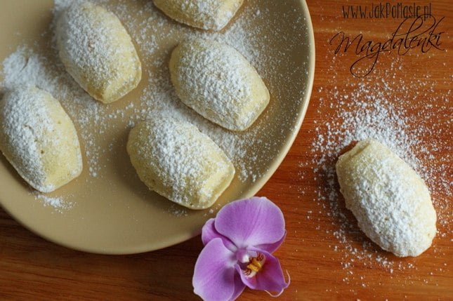 magdalenki magdalenki