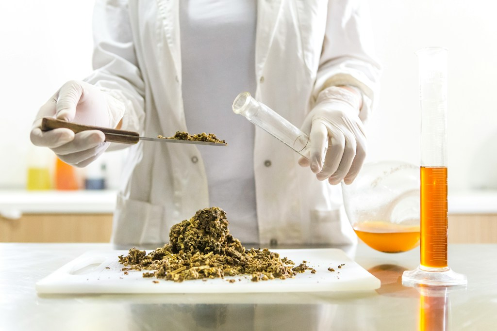 Dlaczego producenci zmieniają składy znanych produktów? Na czym polega reformulacja żywności?